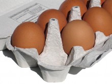 eggs