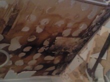 damage from shower leak