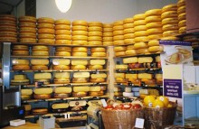 cheese
