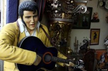 elvis