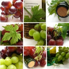 grapes