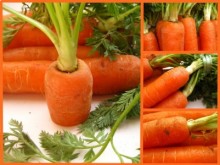carrots