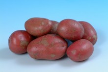 pots