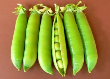 pods