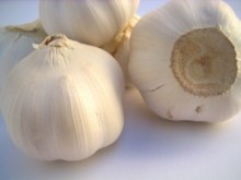 garlic