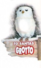 Owl Display