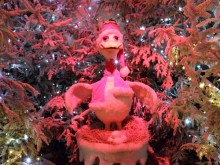 goose