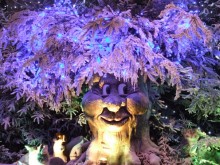 talking tree