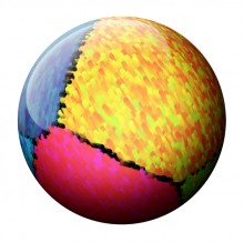 beach ball