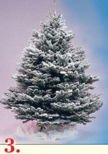 Finished Tree