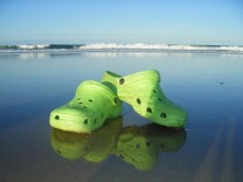 jelly on beach