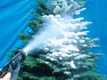 spraying