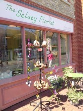 Shop Front 2