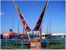 spider bungees