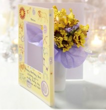 card 8