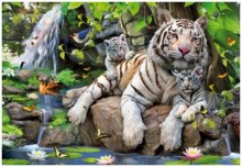 tigers