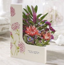 card 9