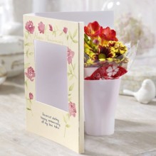 card 14