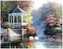 swans