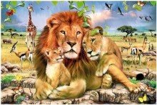 lion