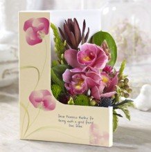 card 33