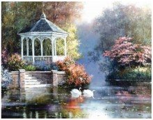 swans