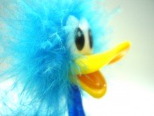 funny duck