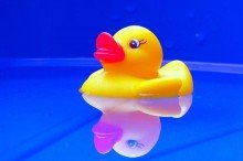quack