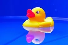 quack