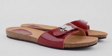 scholl