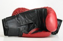 gloves