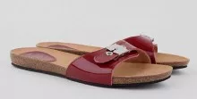 scholl