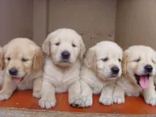 just the four of us