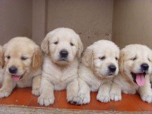 just the four of us