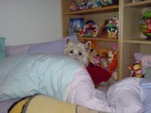 on the bed