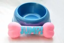 bowl and bone