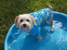 keeping cool