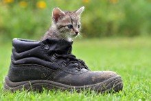 boot