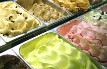 trays