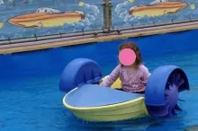 peddle boats