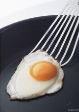 one egg