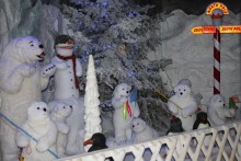 north pole