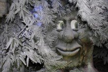 talking tree