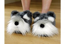 slippers
