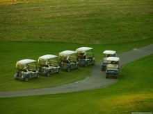 buggies