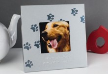 dog frame