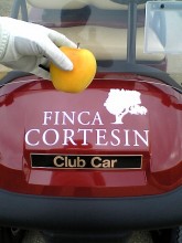 finca