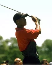 tiger