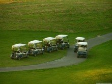 buggies