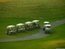 buggies
